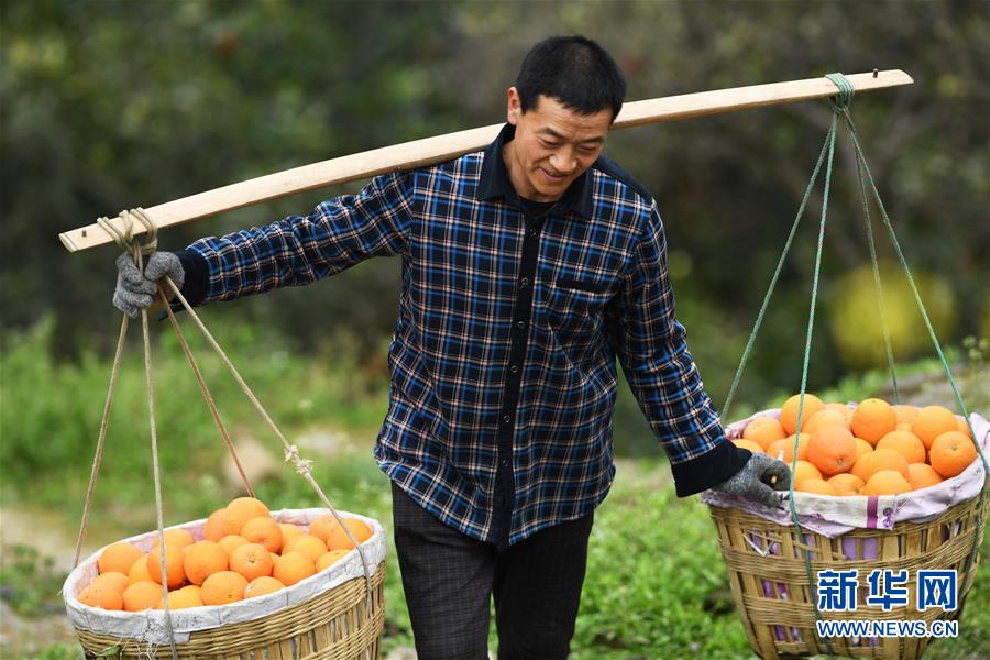 （新華全媒頭條·走向我們的小康生活·圖文互動）（10）大城大鄉的“幸福協奏曲”——重慶推動高質量發展創造高品質生活紀事