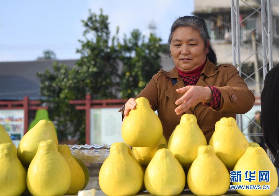 （新華全媒頭條·走向我們的小康生活·圖文互動）（11）大城大鄉的“幸福協奏曲”——重慶推動高質量發展創造高品質生活紀事