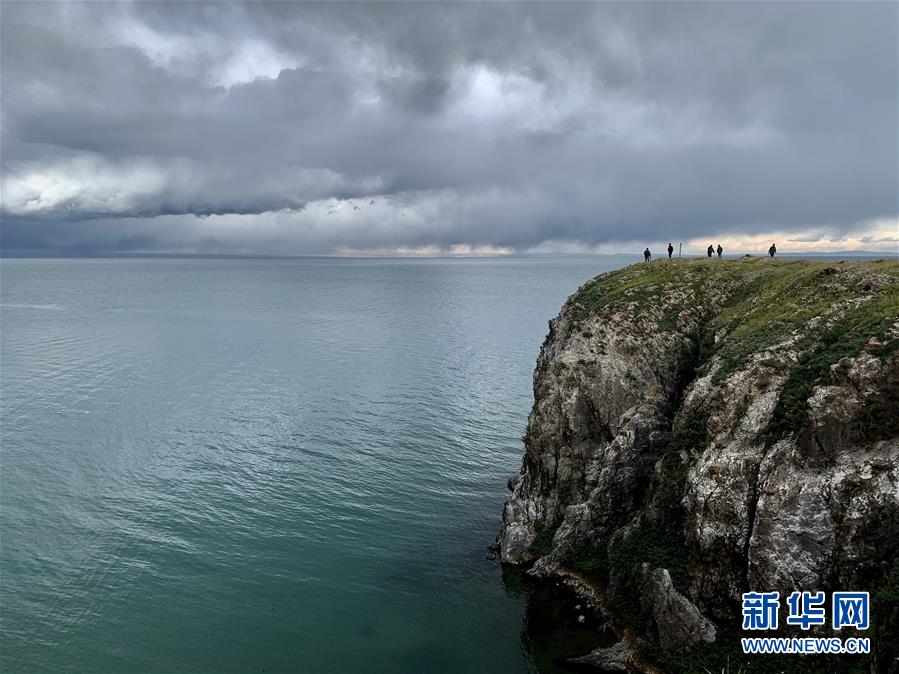 （新華全媒頭條·圖文互動）（3）大湖見證 ——持續保護讓青海湖生態華麗“蝶變”