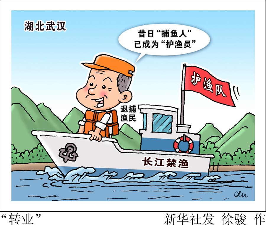 （圖表·漫畫）［長江漁民上岸］“轉業”