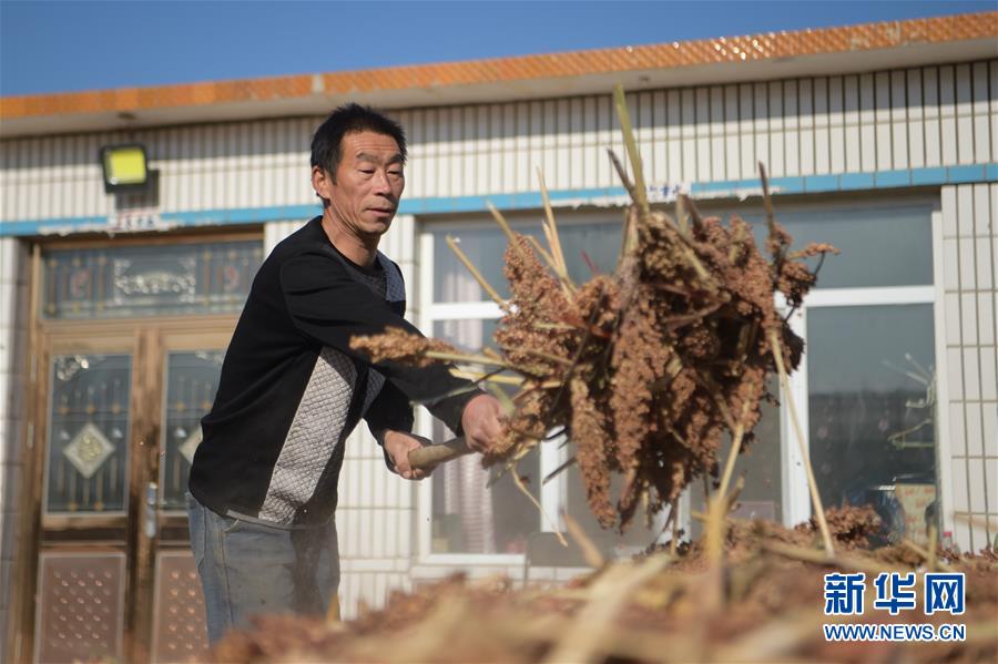 （全面建成小康社會“百城千縣萬村”調研行·圖文互動）（1）互助互利，小甘薯帶來甜蜜日子——內蒙古奈曼旗互利村闖出產業致富之路