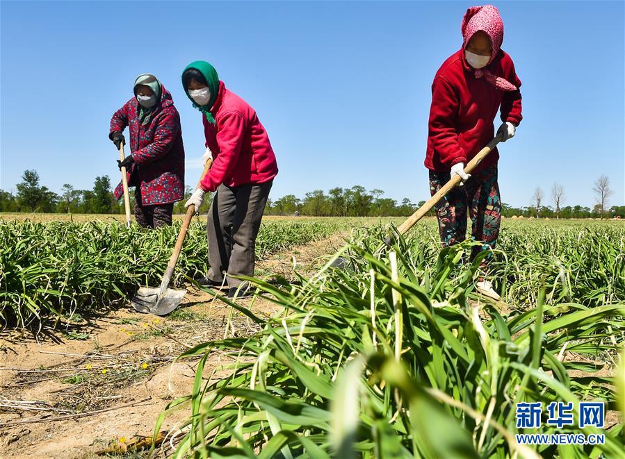 （新華全媒頭條·圖文互動）（17）從人民中汲取磅礴力量——習近平總書記同出席2020年全國兩會人大代表、政協委員共商國是紀實