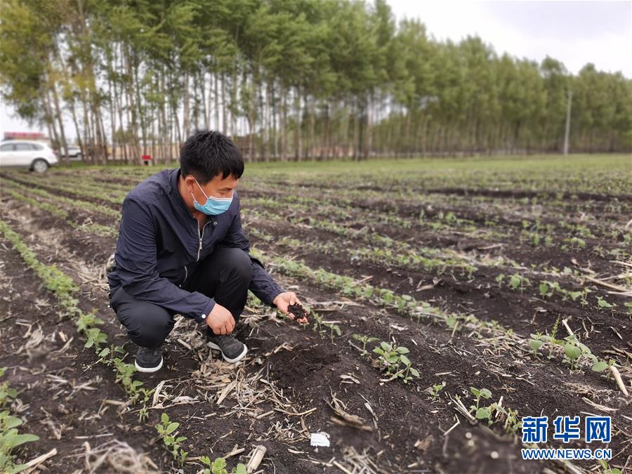 （在習近平新時代中國特色社會主義思想指引下——新時代新作為新篇章·習近平總書記關切事·圖文互動）（6）讓每一寸耕地都成為豐收的沃土——我國加強耕地保護推進“藏糧于地”