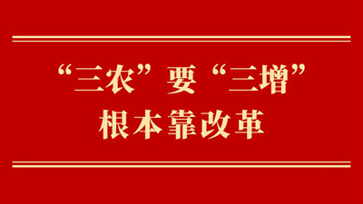 “三農(nóng)”要“三增” 根本靠改革