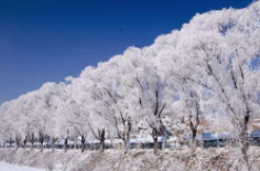 全國初雪時(shí)間表出爐 看看你離初雪還有多遠(yuǎn)？