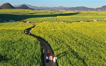 游山玩水過(guò)大年