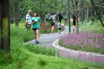 北京東城區第一處城市森林公園建成開放