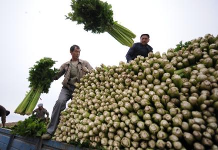 劉永富：發(fā)展產(chǎn)業(yè)脫貧仍是精準(zhǔn)扶貧、精準(zhǔn)脫貧主攻方向