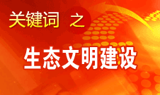 胡錦濤提出，大力推進生態文明建設