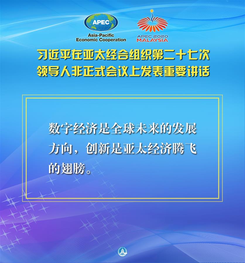 （圖表·海報）［外事］習近平出席亞太經合組織第二十七次領導人非正式會議并發表重要講話（7）