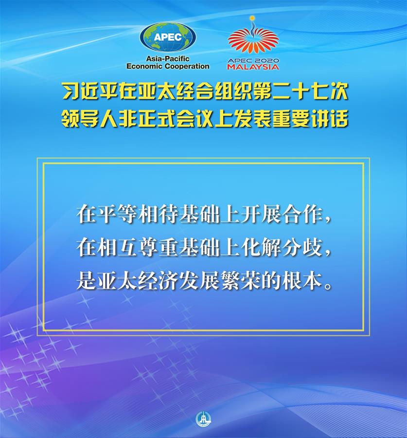 （圖表·海報）［外事］習近平出席亞太經合組織第二十七次領導人非正式會議并發表重要講話（6）