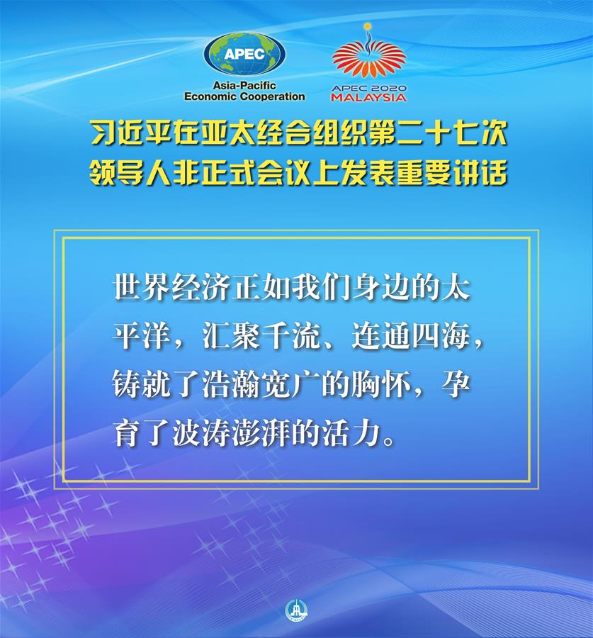 （圖表·海報）［外事］習近平出席亞太經合組織第二十七次領導人非正式會議并發表重要講話（5）