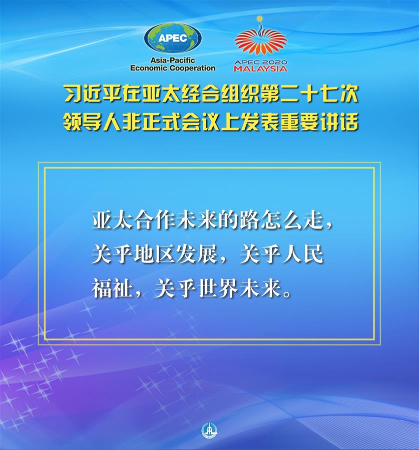 （圖表·海報）［外事］習近平出席亞太經合組織第二十七次領導人非正式會議并發表重要講話（3）