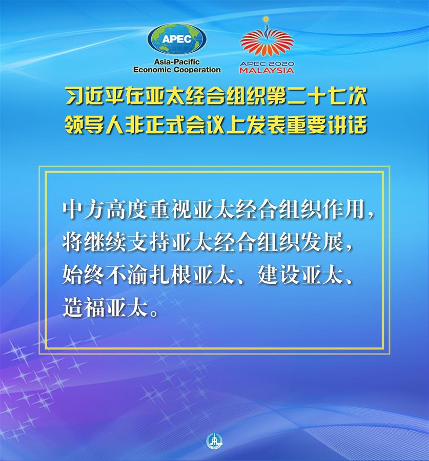 （圖表·海報）［外事］習近平出席亞太經合組織第二十七次領導人非正式會議并發表重要講話（11）