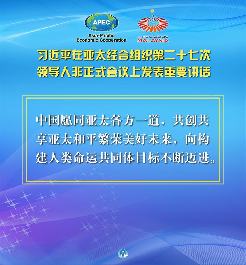 （圖表·海報）［外事］習近平出席亞太經合組織第二十七次領導人非正式會議并發表重要講話（12）